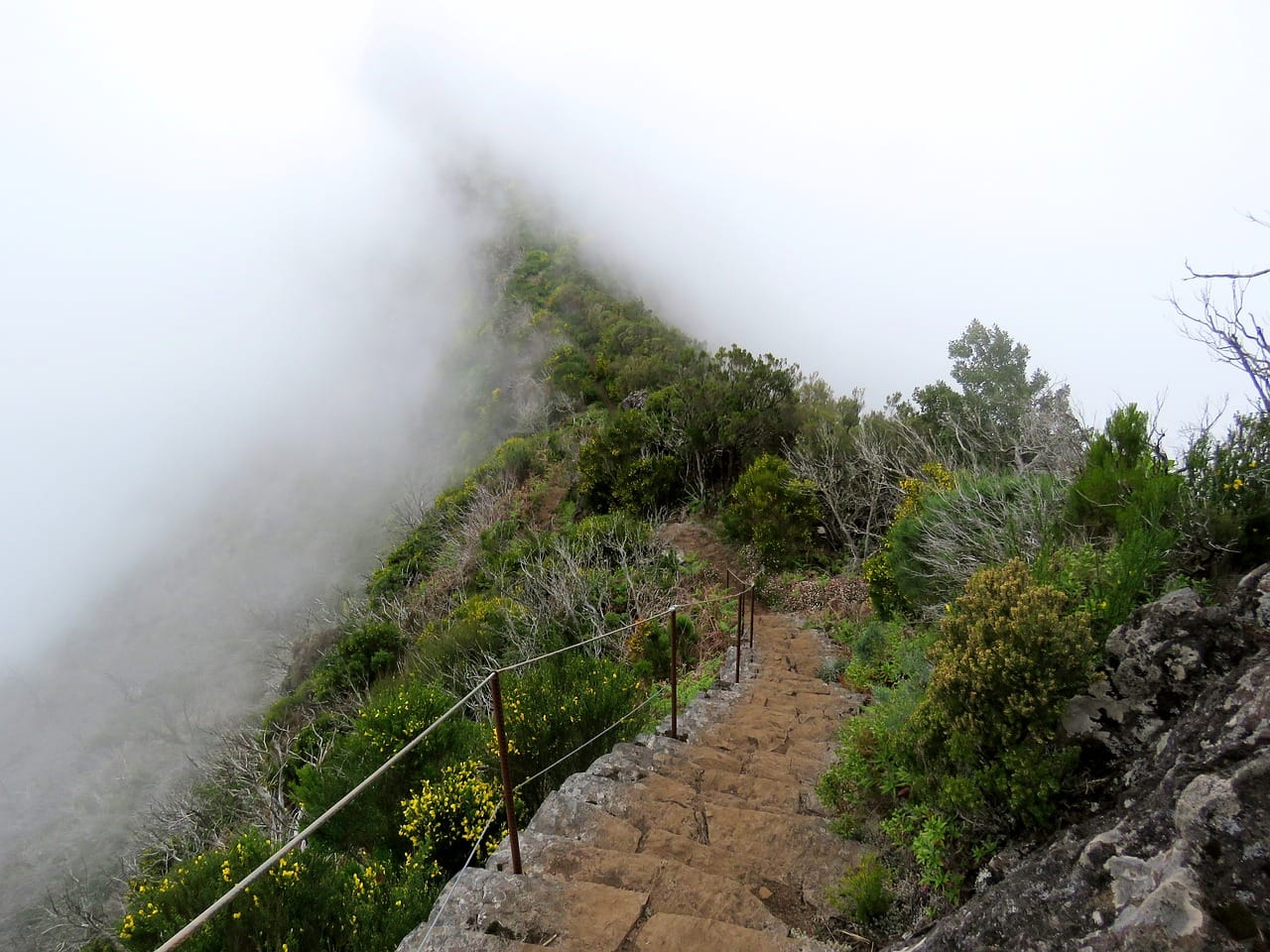 The Fog on Madeira Mountains