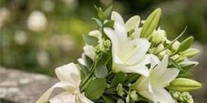 White lilies
