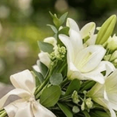 White lilies